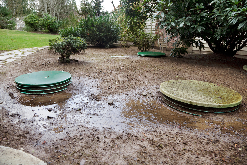 Homeowner comparing clogged drain issues vs septic system trouble
